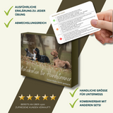 Karteikarten: Social-Walks