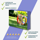 Karteikarten: Welpen & Starter