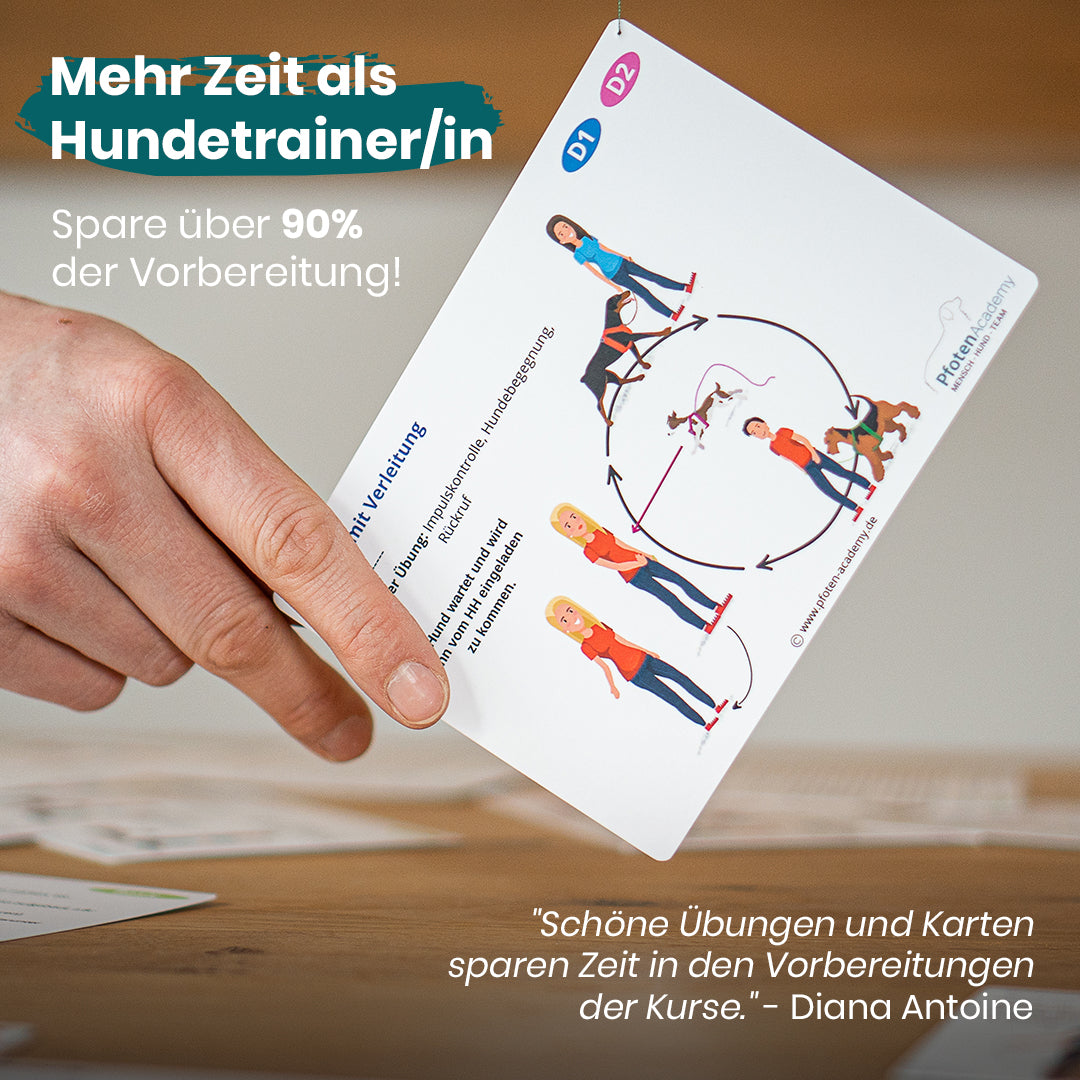 HundeTrainerPro: Die Basics für Welpen & Anfänger