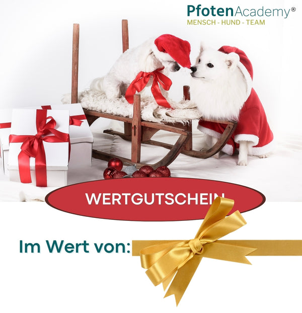 Pfoten Academy® Geschenkgutschein – Dein perfektes Geschenk für Tierfreunde!