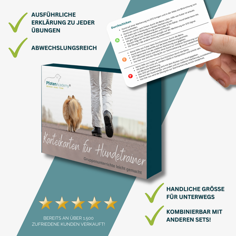 Profi-Trainingsbundle: Mix & Walk