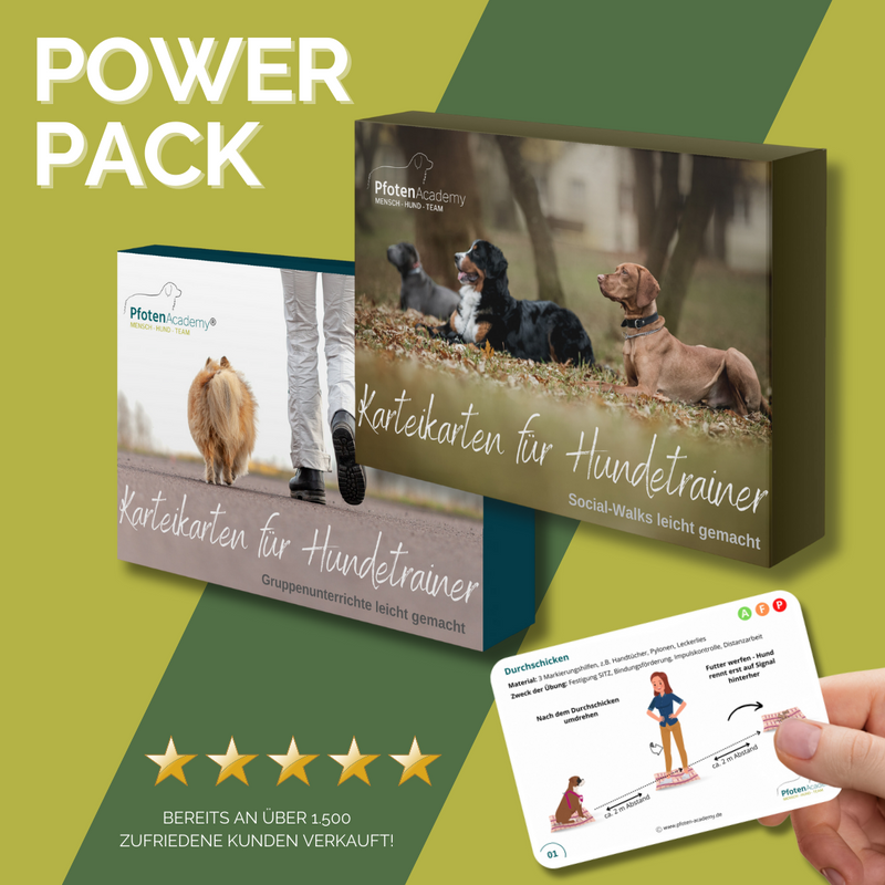 Profi-Trainingsbundle: Mix & Walk