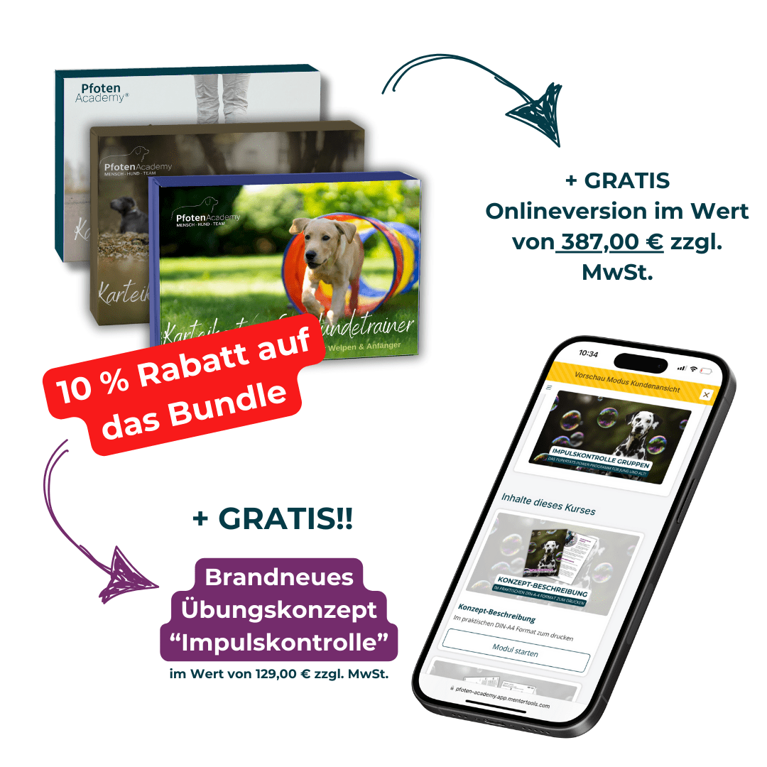 Karteikarten Vorteilsbundle