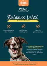 Balance Vital – B-Vitamin Komplex