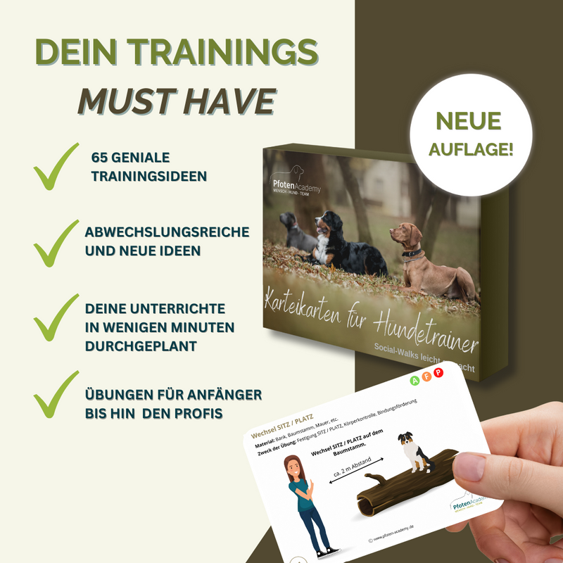 Profi-Trainingsbundle: Mix & Walk