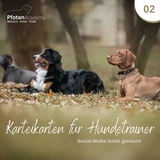 HundeTrainerPro: Social-Walks